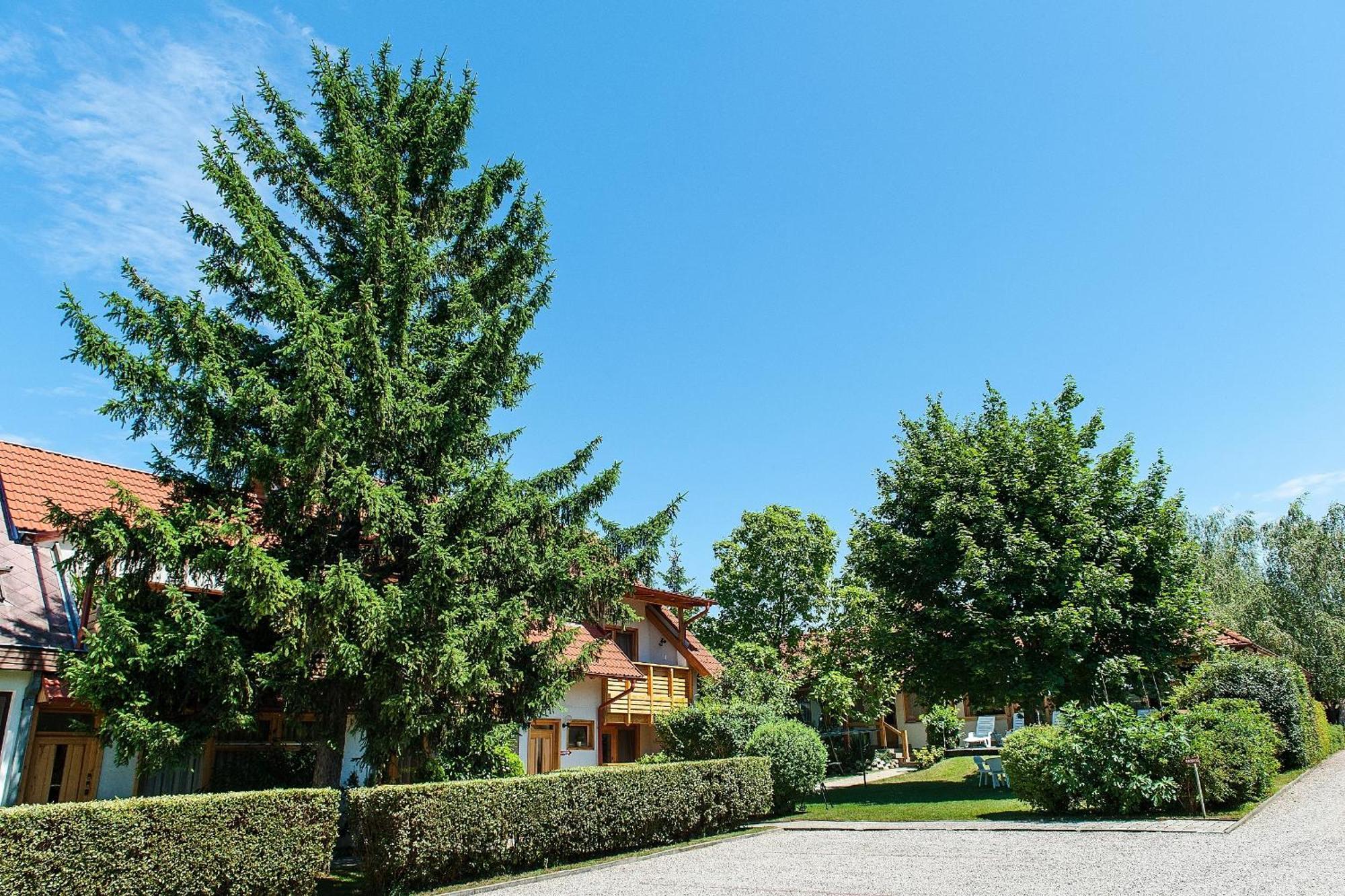 Alina Apartmanhaz Хевиз Экстерьер фото