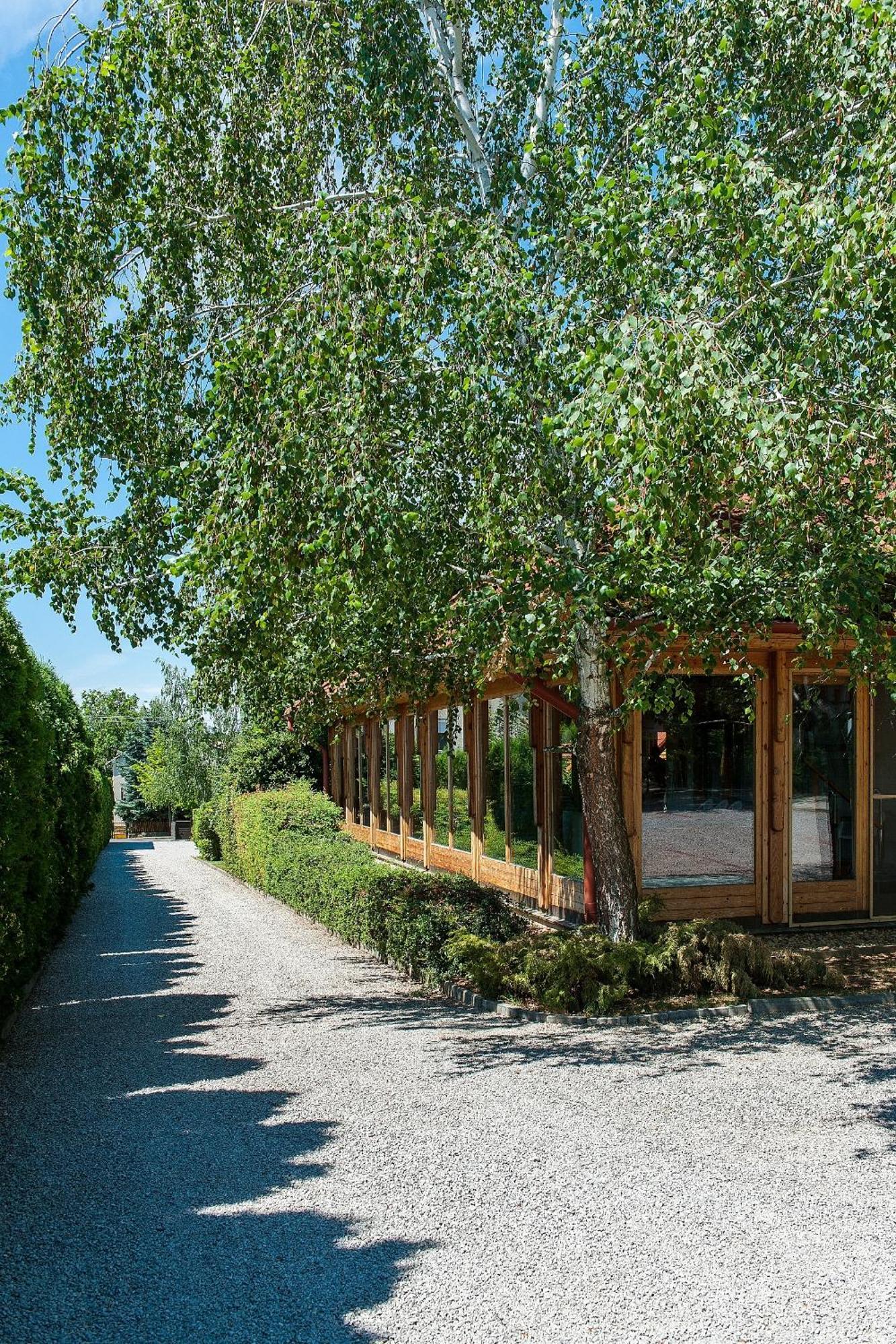 Alina Apartmanhaz Хевиз Экстерьер фото